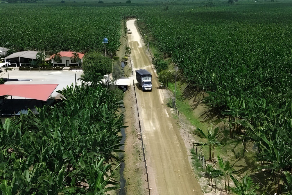 Nuevos trabajos viales y desinfección vehicular refuerzan la contención del ‘Fusarium’ raza 4 en la provincia de El Oro