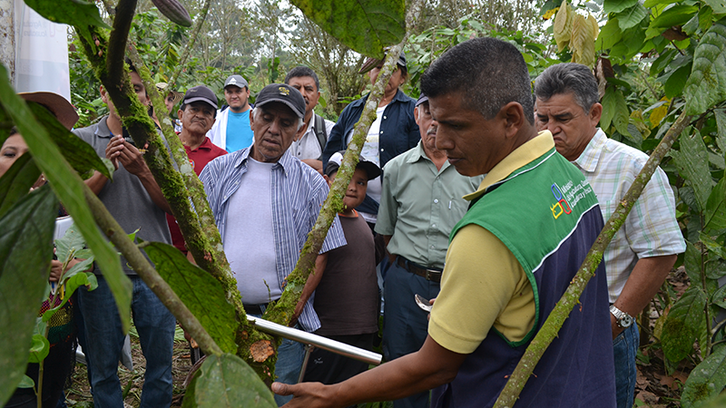 Los productores agropecuarios ya no buscan producir más: ahora priorizan reducir el riesgo climático.