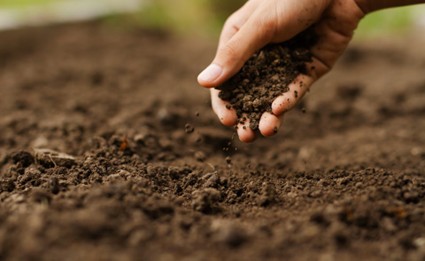 ¿Qué es la agricultura regenerativa?