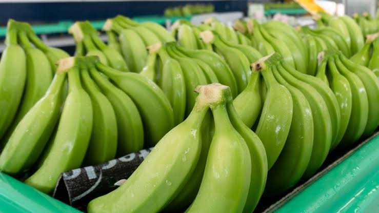 Banano ecuatoriano sigue creciendo pese a los desafíos internacionales