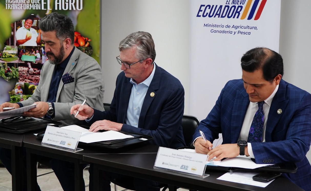 Alianza estratégica fortalece el futuro del banano ecuatoriano.