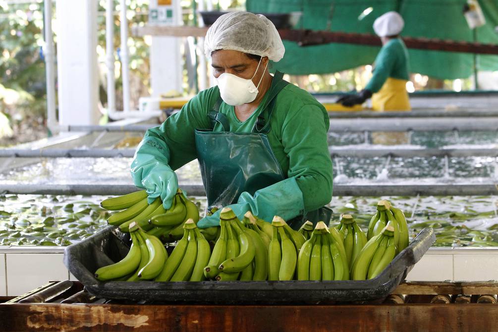 Ecuador reclama a Europa un precio justo que refleje su sostenibilidad bananera.