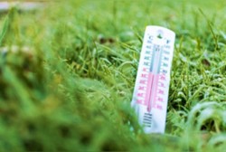 Influencia de las variables meteorológicas en el control de plagas y enfermedades